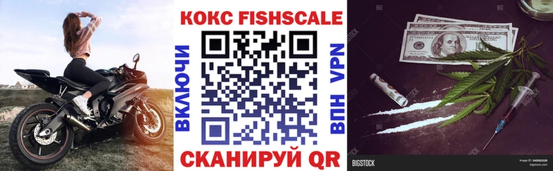 закладки Козельск Cocaine Fish Scale