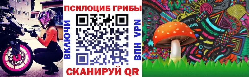 Псилоцибиновые грибы GOLDEN TEACHER  где купить наркоту  KRAKEN зеркало  Козельск 