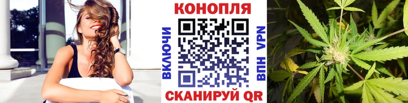 Шишки марихуана OG Kush Козельск